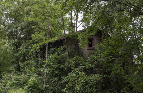 与自然和rc植被覆盖的时间被遗弃德国人房屋图片