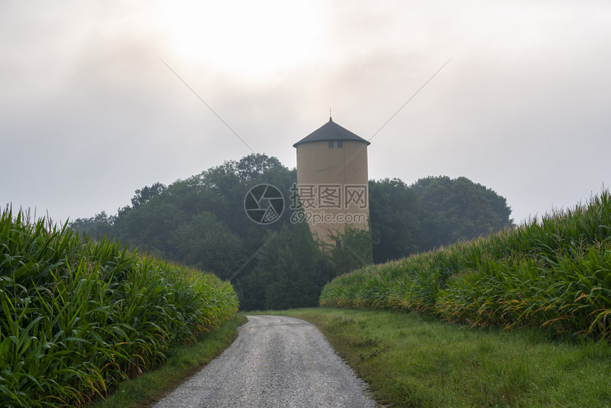 有一座古老的天文塔和一条乡村公路穿过玉米田在斯瓦比什大厅附近图片