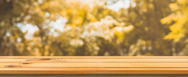 木板空桌底色模糊在的树林背景上看到褐色的木质桌可以模拟显示您的产品秋季全景横幅背背景图片
