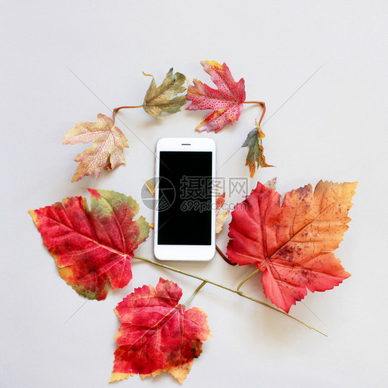 智能手机平板和秋叶灰色背景风格微小图片