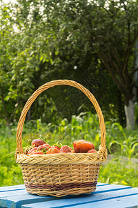 在绿草地上编织的篮子里鲜红色多汁的草莓背景图片
