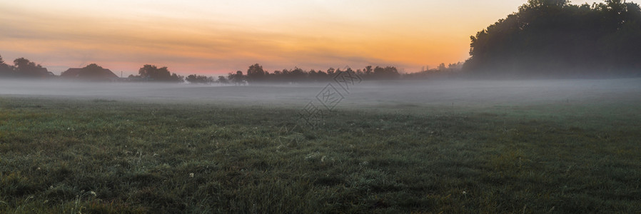 美丽的清晨落下一片满是雾的草原地平线上的树木和多彩日出图片