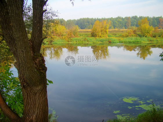 清晨的秋天森林中平静的河流图片