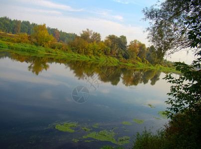 清晨的秋天森林中平静的河流图片