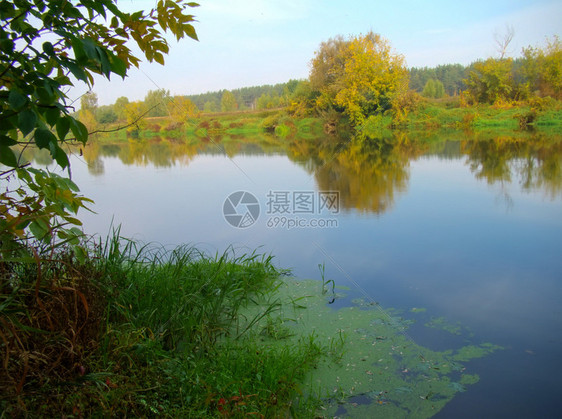 清晨的秋天森林中平静的河流图片