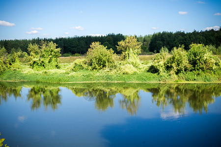 平静的河流和绿林平的风景图片