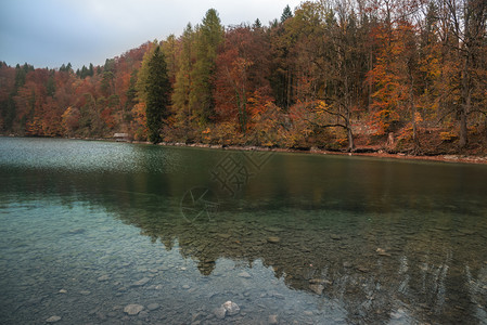 美丽的秋天风景充满多彩的秋天森林绿水湖高山在阴暗的奥克托白日图片