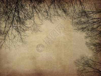 赤裸的树光露影挂在石灰纸背景上图片