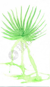 装饰大绿色热带叶水彩插图背景图片