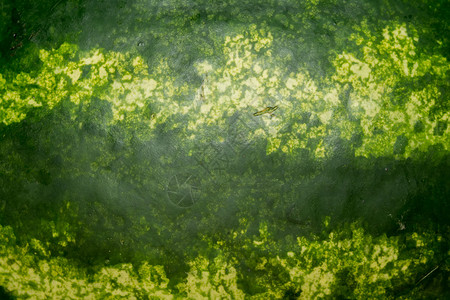 深浅的田地处图片素材