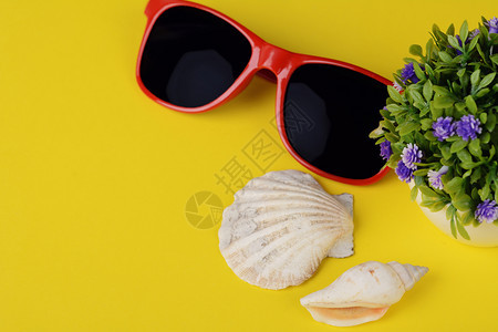 太阳镜贝壳和有复制空间的海星顶部视图夏季概念黄色背景图片