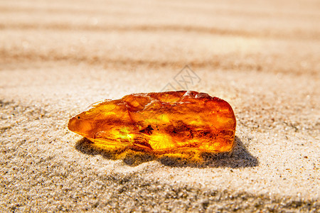 在黄海沙滩上的琥珀图片