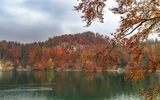 秋天风景多彩的山林覆盖着多彩的山丘在高湖岸上奥克托伯巴伐利亚德意志的一个多云天图片