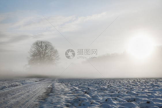 一片雪地的乡村道路和覆盖的田野图片