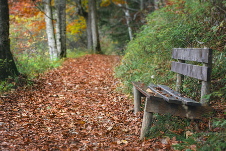 在秋天的风景中在一条小巷的旁有个风雨的木凳子上面盖着干枯的多色叶子在小巷里巴伐利亚地区德国图片
