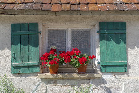 在阳光明媚的一天古老窗子上面有红色的花朵由绿木质百叶窗一个德国老房子的外部在一个阳光明媚的天图片