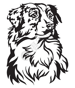 澳大利亚无尾熊设计图片