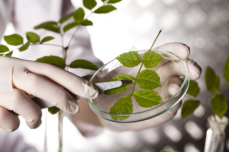 实验室化学玻璃生物有机现代概念图片