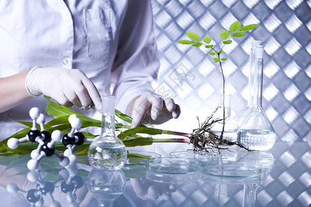 植物实验室科学图片