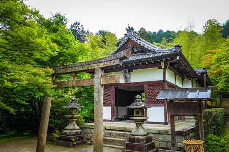 日本京都岚山竹林中的jojakkoji神殿日本京都的jojakkoji寺庙图片