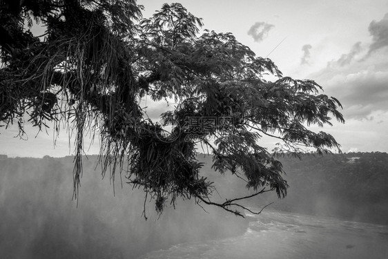 位于Iguaz的Prn河位于公园热带快流和雨林景观黑白图位于Iguaz的Prn河陷落图片