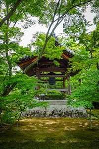 在Kikauji金殿堂京都雅潘在Kikauji寺雅潘背景图片