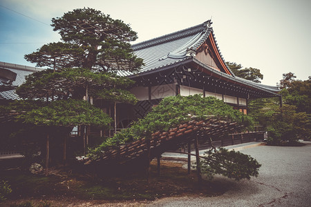 金庙京都日托雅潘木寺图片