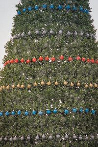圣诞节时装饰着多彩球的fir树图片