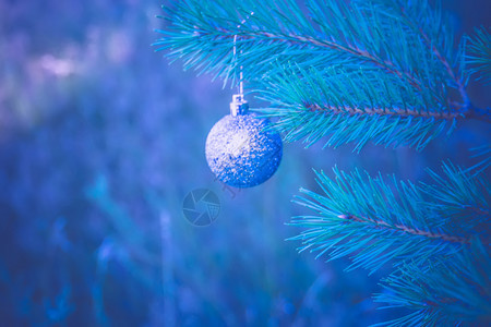 在fir树枝过滤背景上装饰银色圣诞舞会图片
