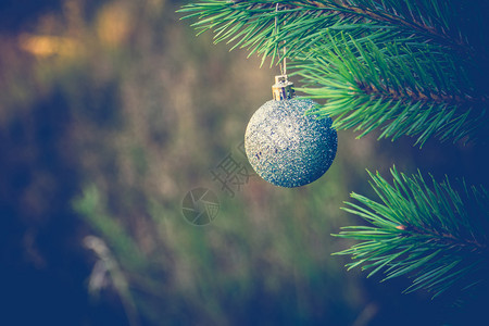 在fir树枝过滤背景上装饰银色圣诞舞会图片