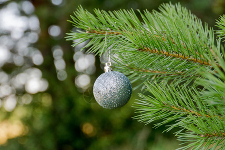 佛林树枝背景上的装饰银色圣诞舞会图片