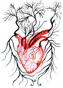 用水彩画的花纹装饰出人类心脏的像图片