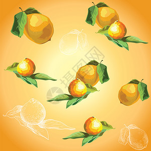 手绘水果柠檬橘子黄色背景图片