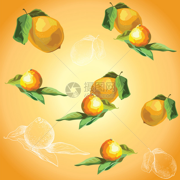 手绘水果柠檬橘子黄色背景图片