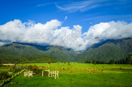 新的西兰农村和山地景观图片