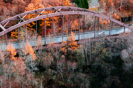 红色Trus桥秋叶树林黄早上空中观察图片