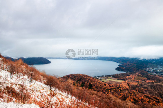 乌鲁利冬有秋叶黄色树从uszan山空中观看图片