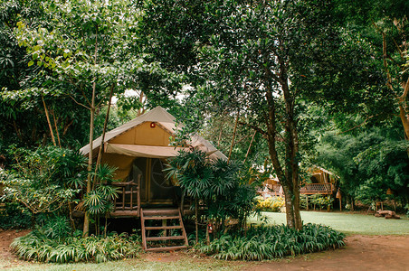 2013年6月日开那毛里泰兰自然林中奢华的露营胜地在热带亚裔中盛放假期图片