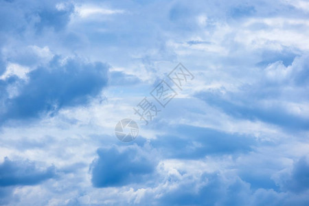 飞机外面的蓝天白云和鸟图片
