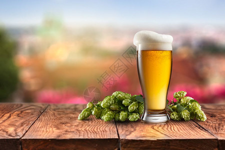 一杯啤酒加在自然背景上跳木制桌子一杯啤酒加跳在木制桌子上图片