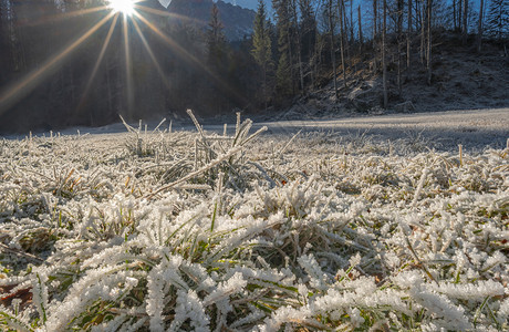 冬季风景在雪覆盖的冰冻草线上贴紧的缝隙在白雪巴伐利亚和德意志有阳光照耀加米什巴滕基琴的温暖图片