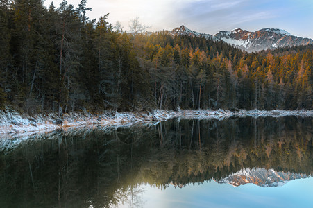 冬季风景森林寒冷山峰阿尔卑斯脉的峰反映在伊布西湖阳光明媚的一天在德国加米什帕滕基琴附近图片