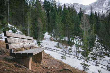 早冬风景高山路边有木凳雪林和山峰在奥斯特里亚河的hrwald图片