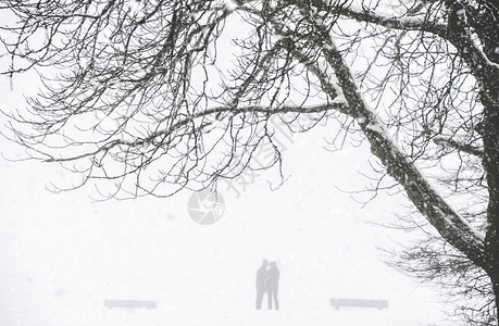 严寒的冬季风景有两个人在公园的轮廓下雪和暴风被一棵无叶大树图片