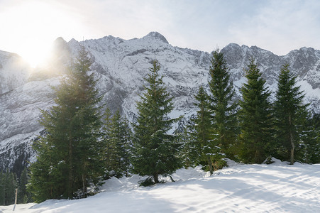 明亮的冬季风景雪盖着高山长青的森林在十月太阳下在奥斯特里亚的厄尔瓦德背景图片