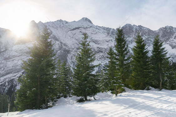 明亮的冬季风景雪盖着高山长青的森林在十月太阳下在奥斯特里亚的厄尔瓦德图片