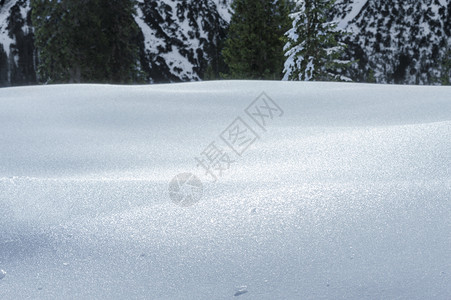 厚的雪层和冰森林树木在背景阿尔卑斯山脉在阳光明媚的十二月日在厄尔瓦德奥斯特里亚图片