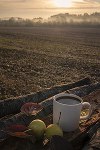 室外早餐图象一杯咖啡对夫妇的梨子在树皮上一堆木头雾的日出秋叶在奥克托伯德意志图片