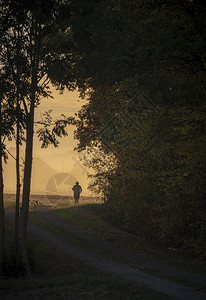 在秋林的一条小巷上奔跑的慢男子脚影日出时在奥克托白的清晨雾密日出时图片