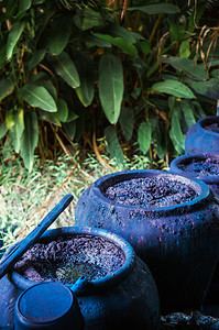 粘土锅中的异地染料植物发酵的传统过程图片